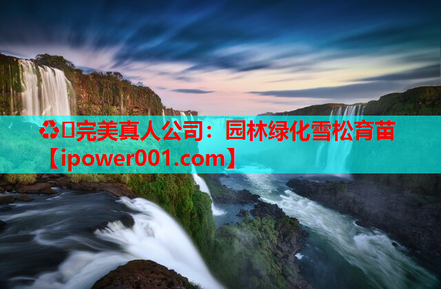 ♻️完美真人公司：园林绿化雪松育苗