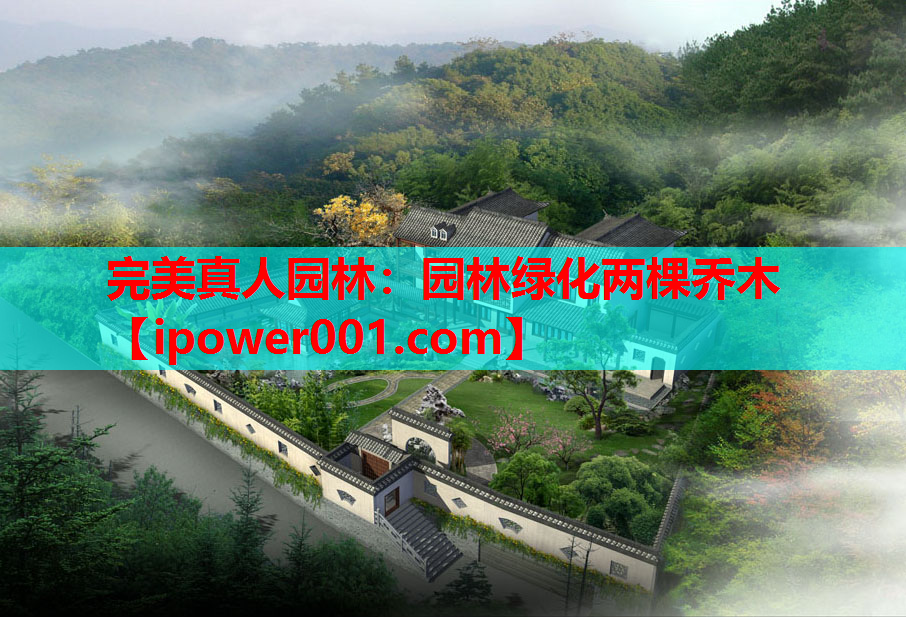 园林绿化两棵乔木